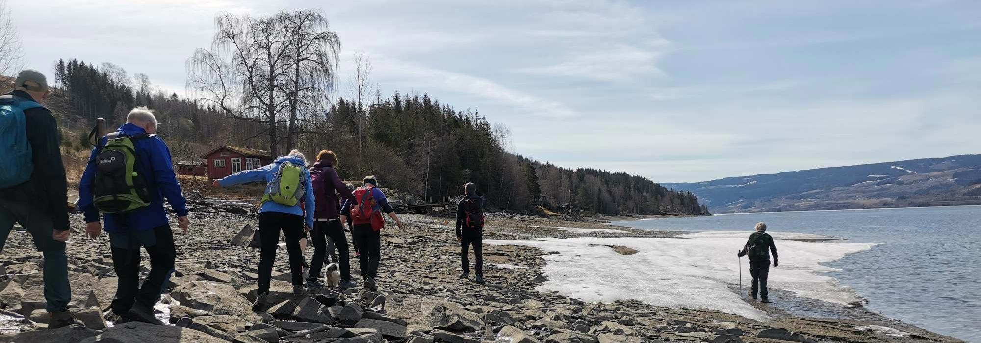 Formiddagstur Lillehammer - Tur langs mjøsstranda sør for Lillehammer
