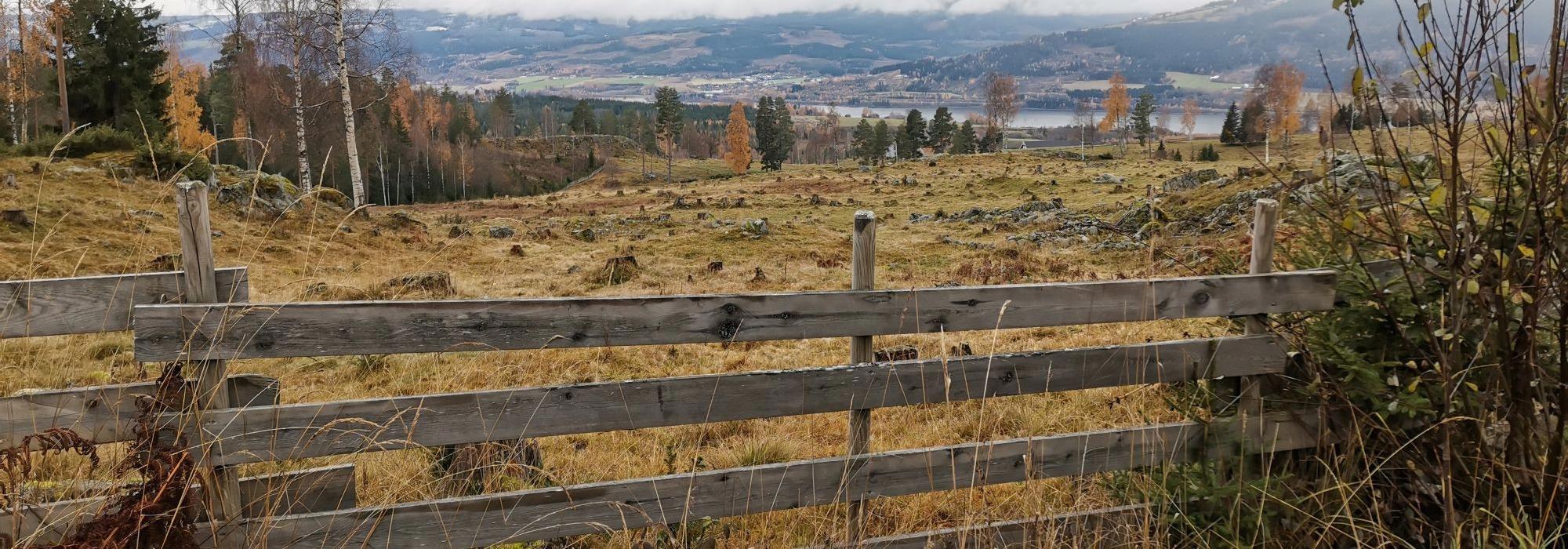 Formiddagstur Lillehammer - Tur på Søre Ål