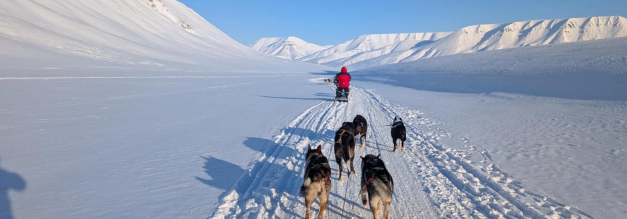 DNT ung Longyearbyen (12-18 år) - Hundekjøring med Green dog!
