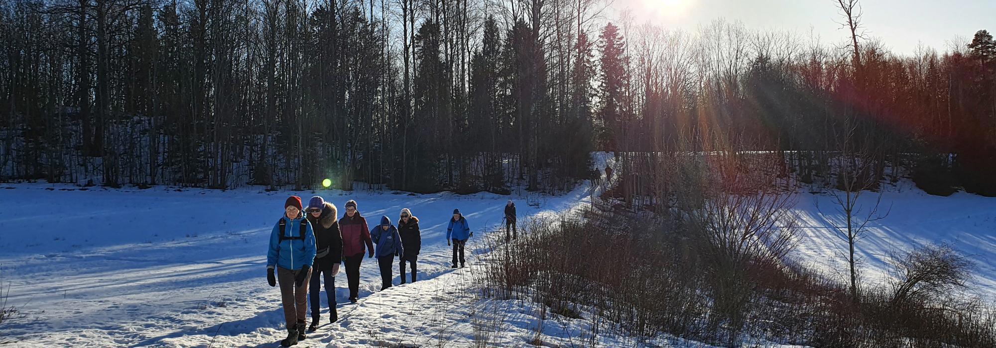 Nærtur fra Borgen - Aktiv i 100 - (1)