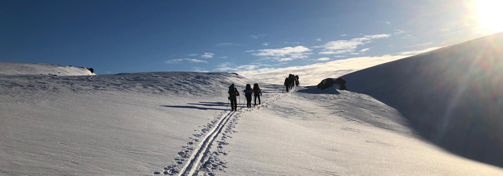 Vintertur til Berdalsbu og Sæbyggjenuten