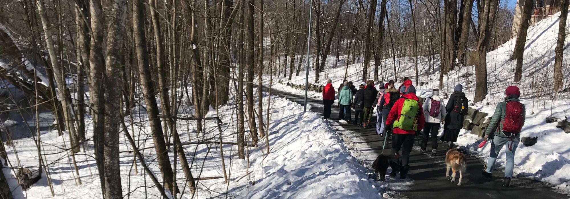 Aktiv i 100 Sandvika Ekstra Lett