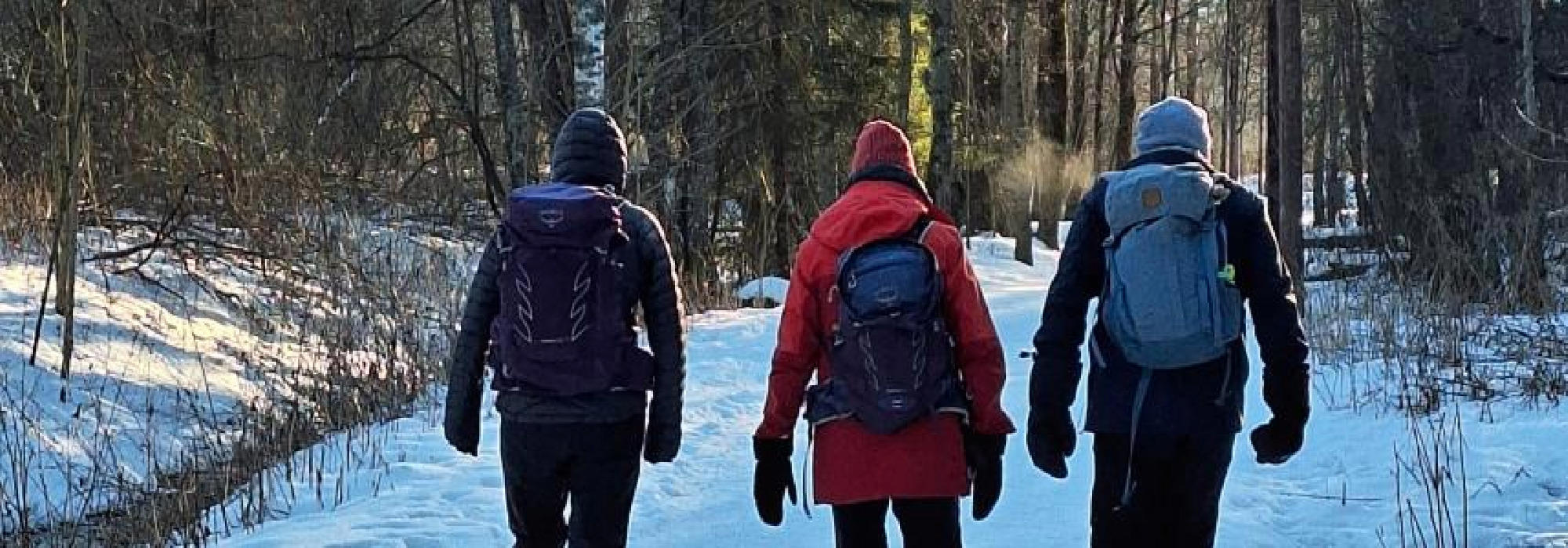 Nærtur fra Tonsenhagen - Månedens tur: Østensjøvannet.