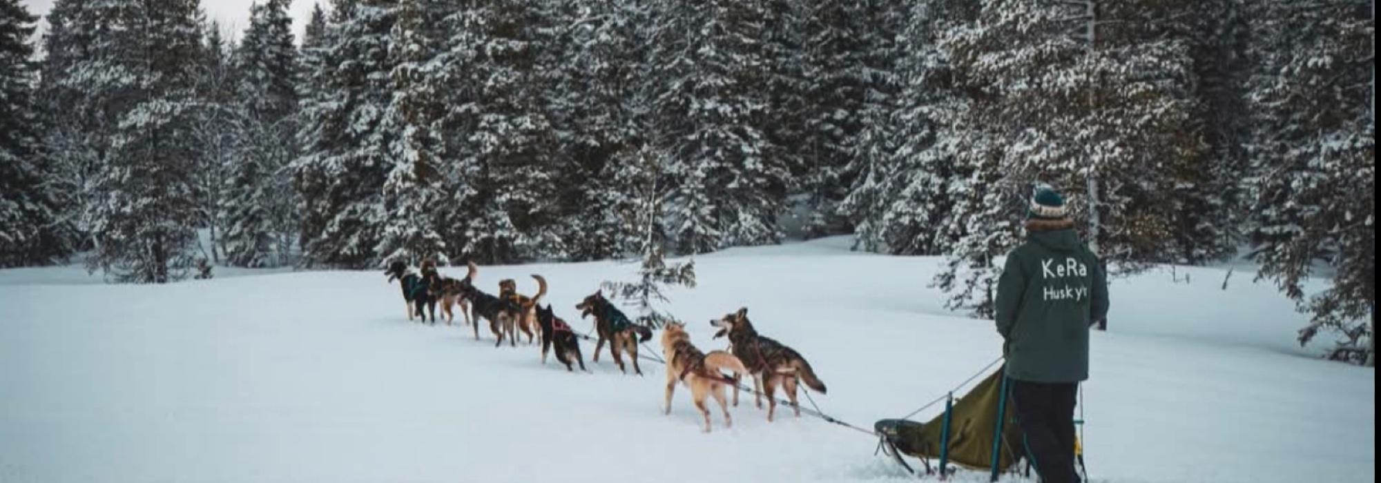 Kom deg ut dagen på Furulund