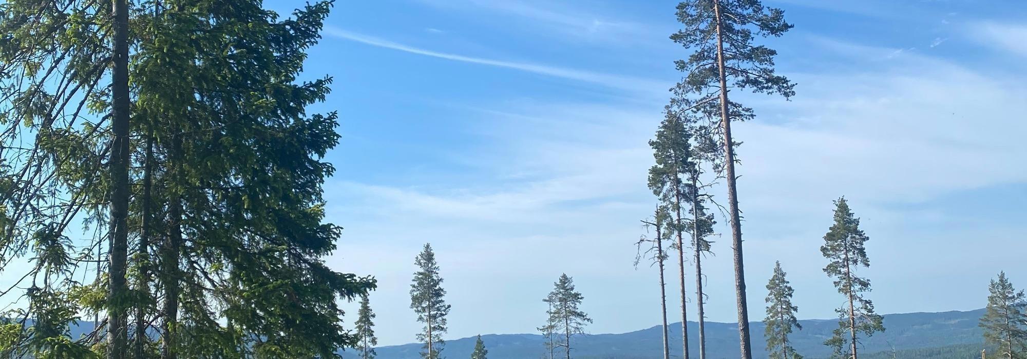 Båltur til Geithaugen fra Harestua stasjon