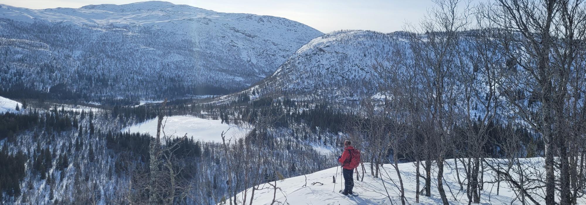 Trugetur til Hallenuten