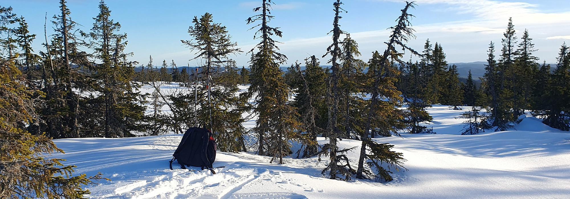 Over Framstadsæterfjellet i løssnø