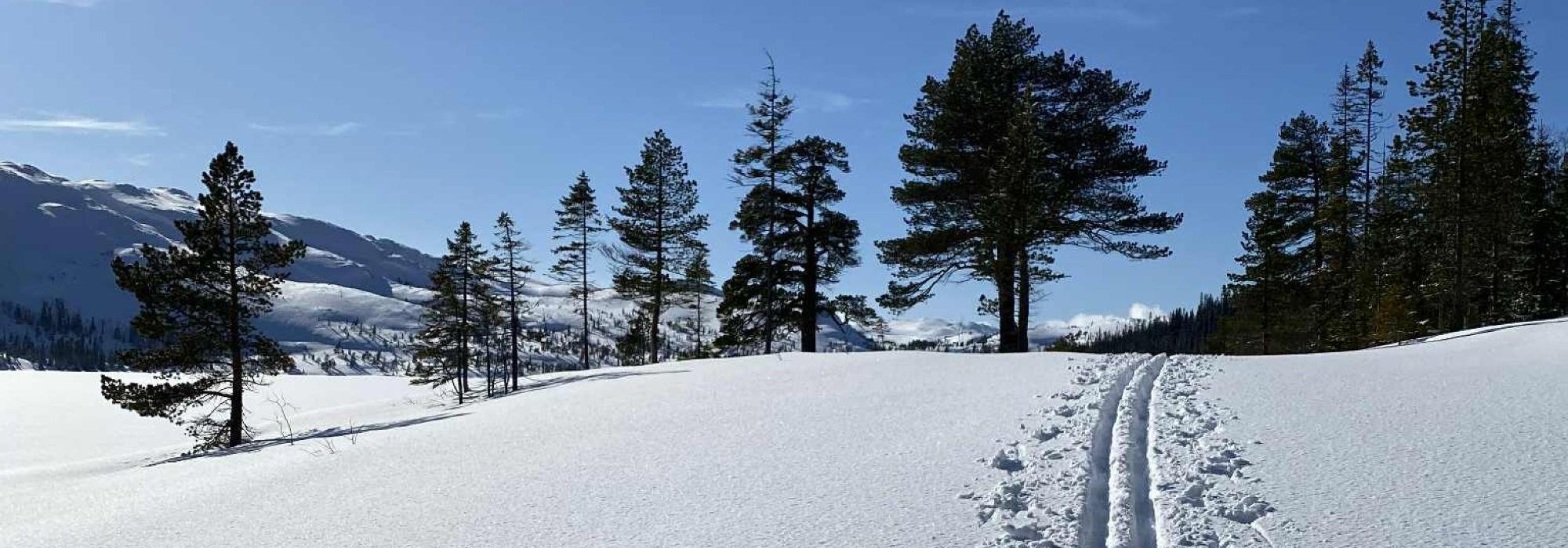 Ekornfjellet, Overhalla (Namdal turlag)