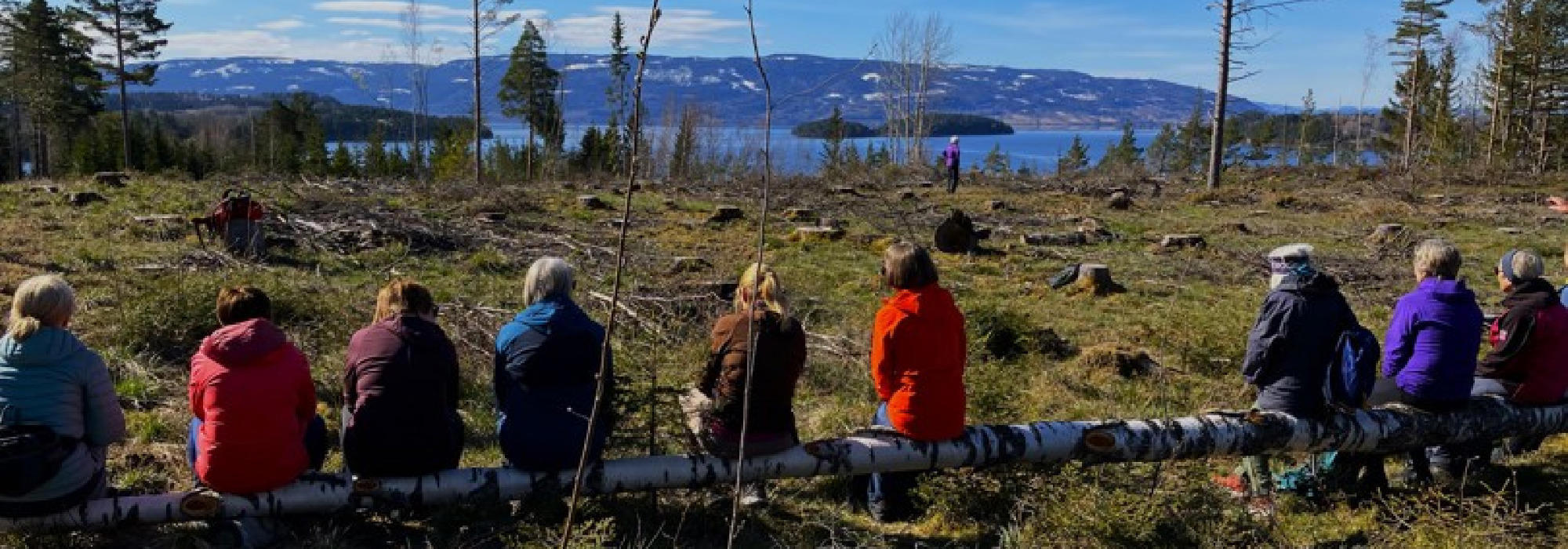 Simensbråtan og Hvalstjern