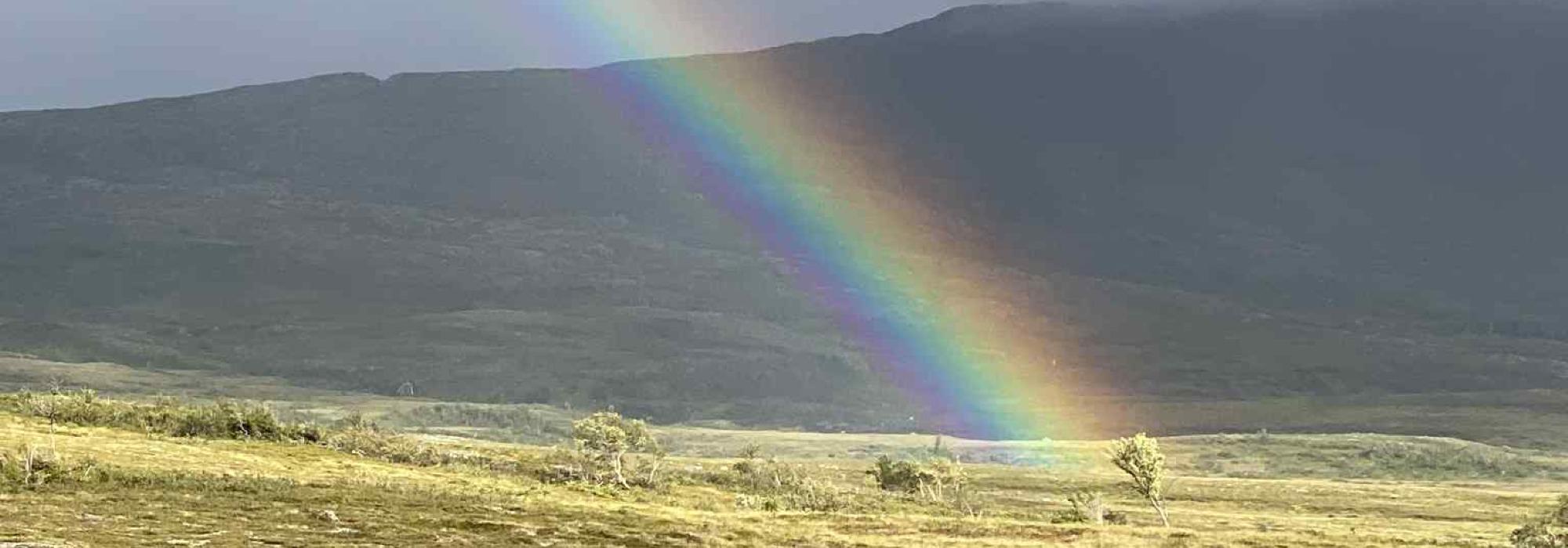 Vestre Brandsfjell, Lierne (Namdal turlag)