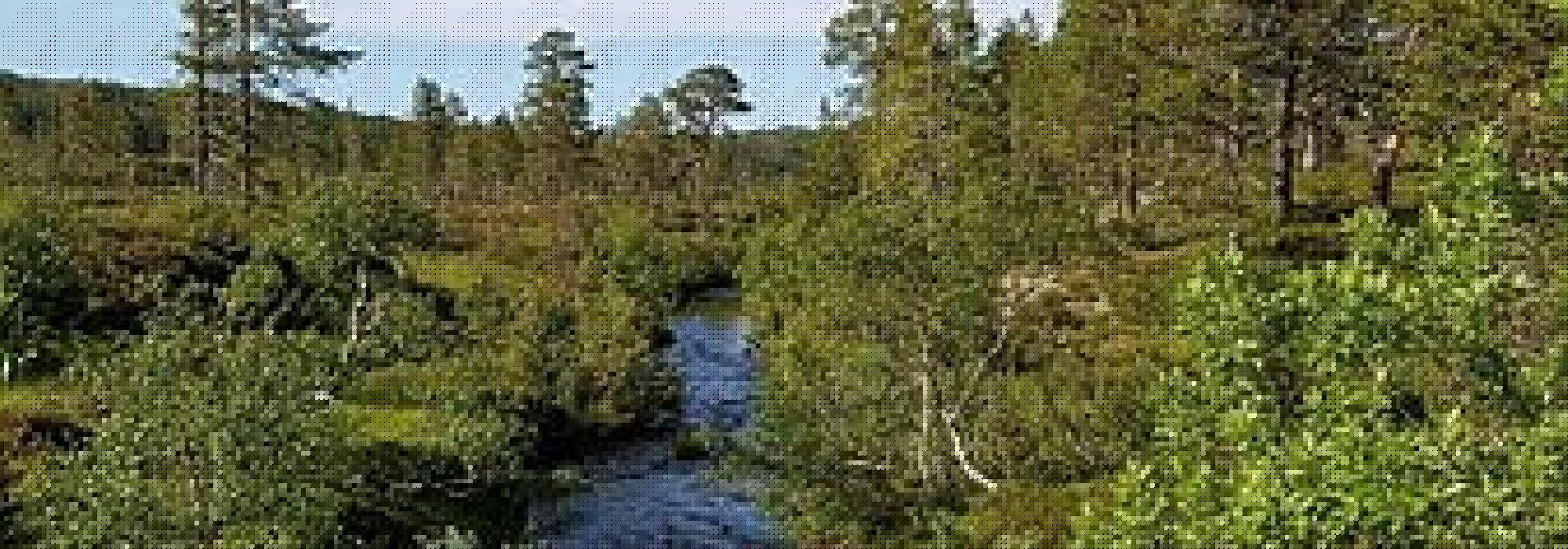 Rundtur Skorvassfjella, Skorovass (Namdal turlag)