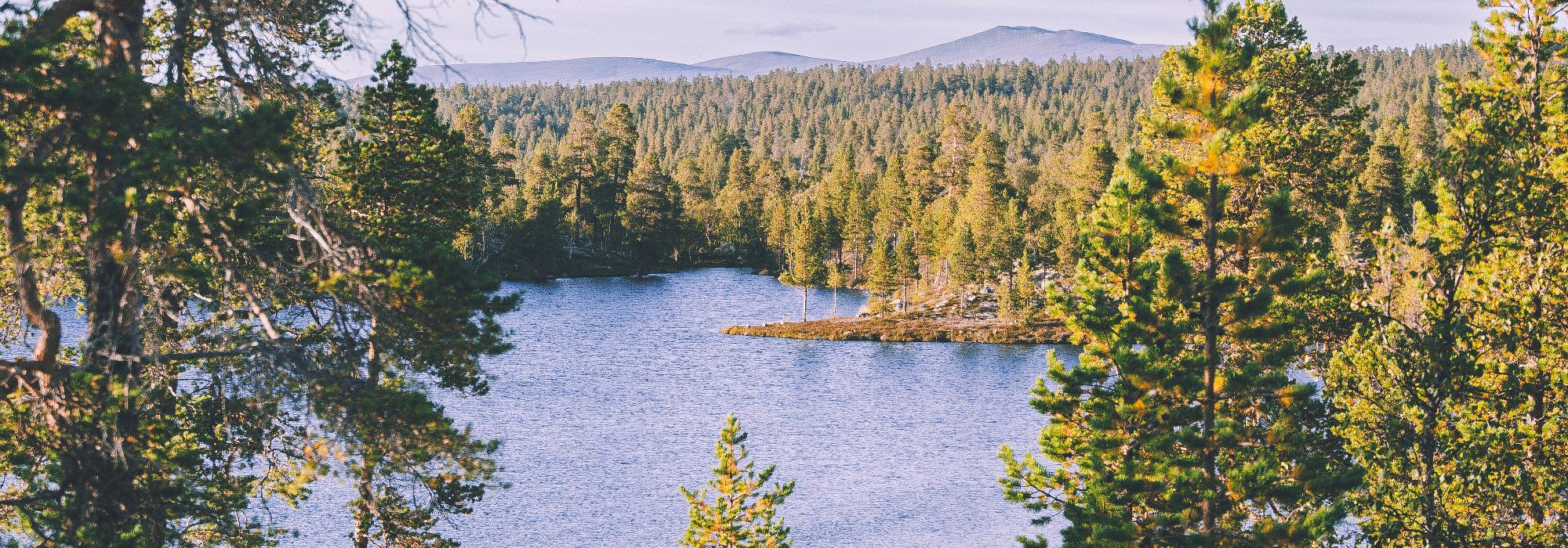 Kalnestjønna, Namsos (Namdal turlag)