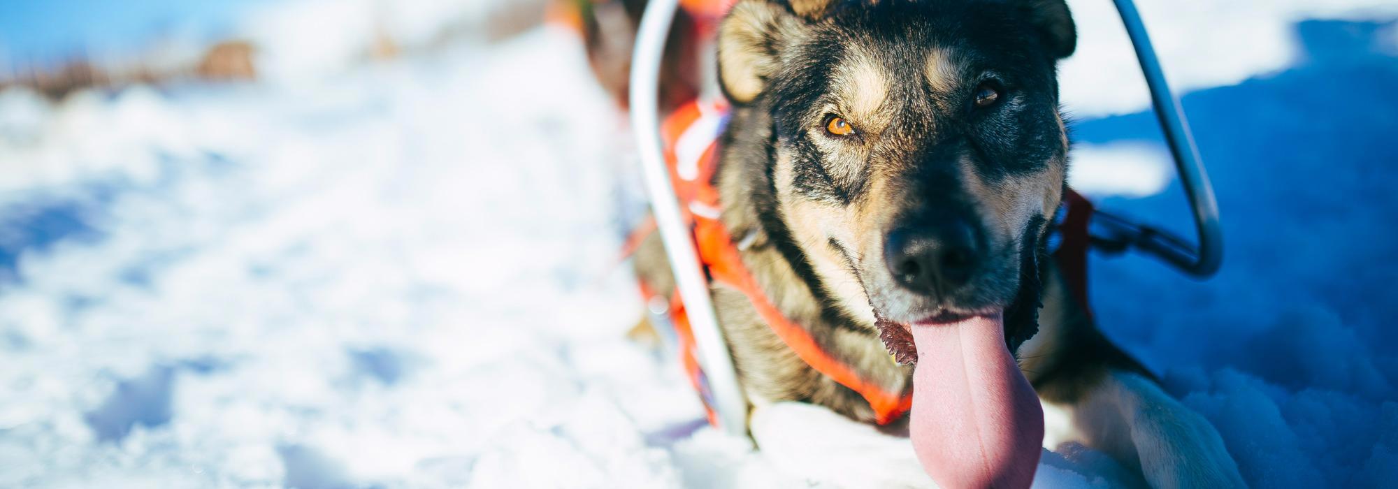 Camp Osbakken - Påske edition - for ungdom 12-15 år