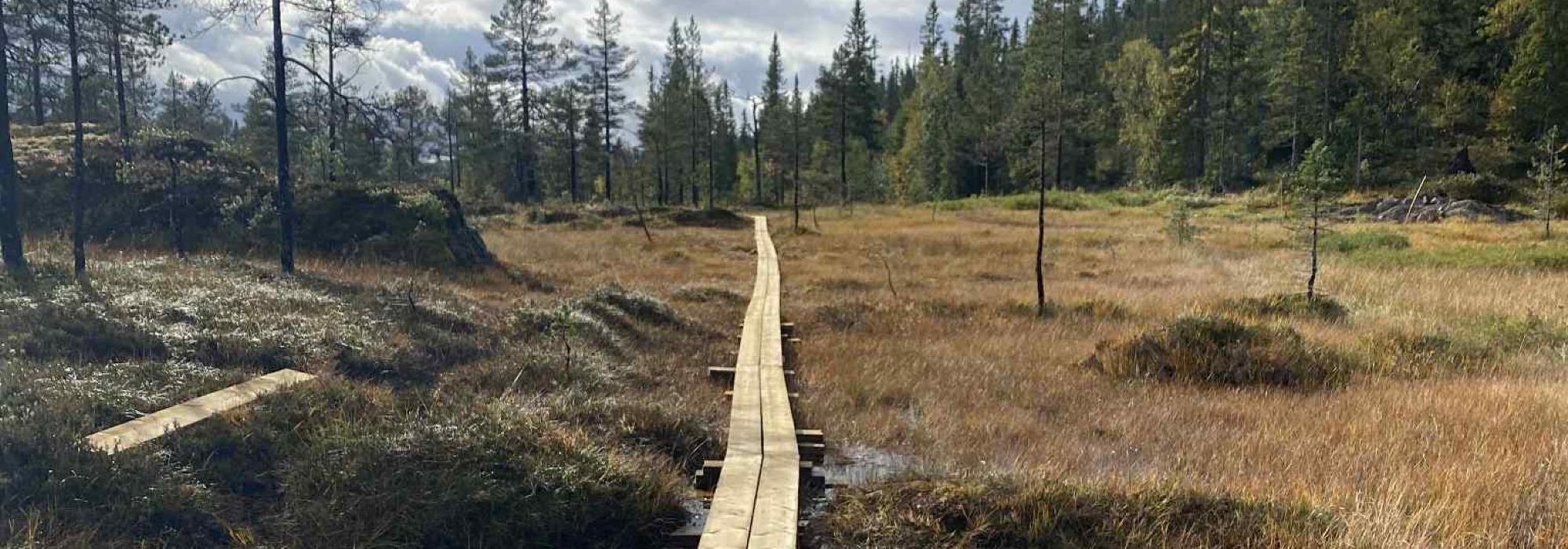 Skarlandsfjellet, Høylandet