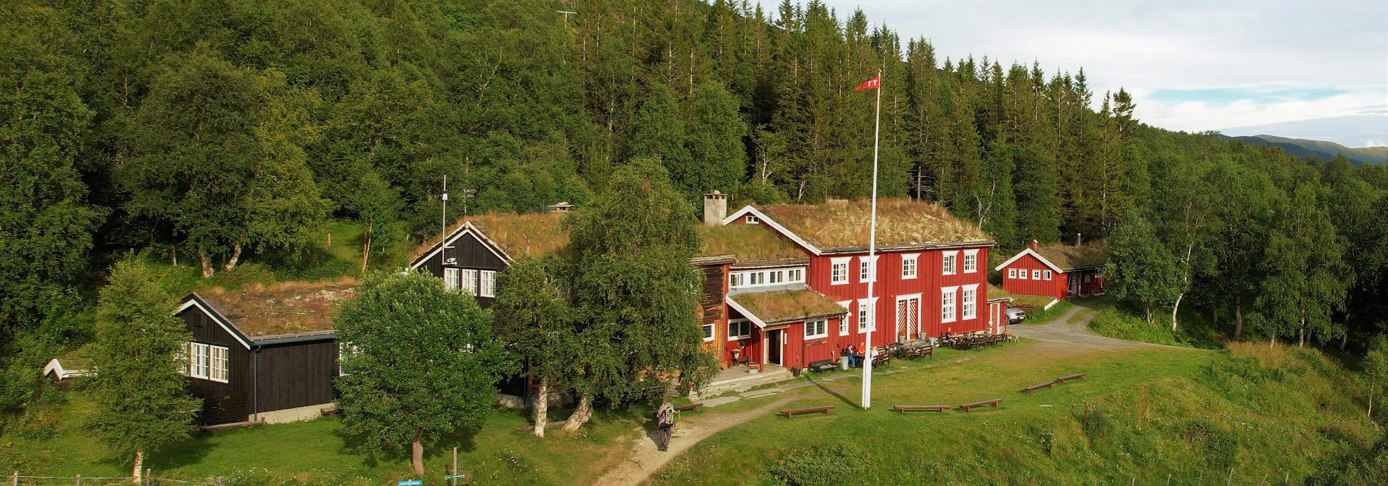 Orkide og fjellflorahelg på Gjevilvasshytta 2026