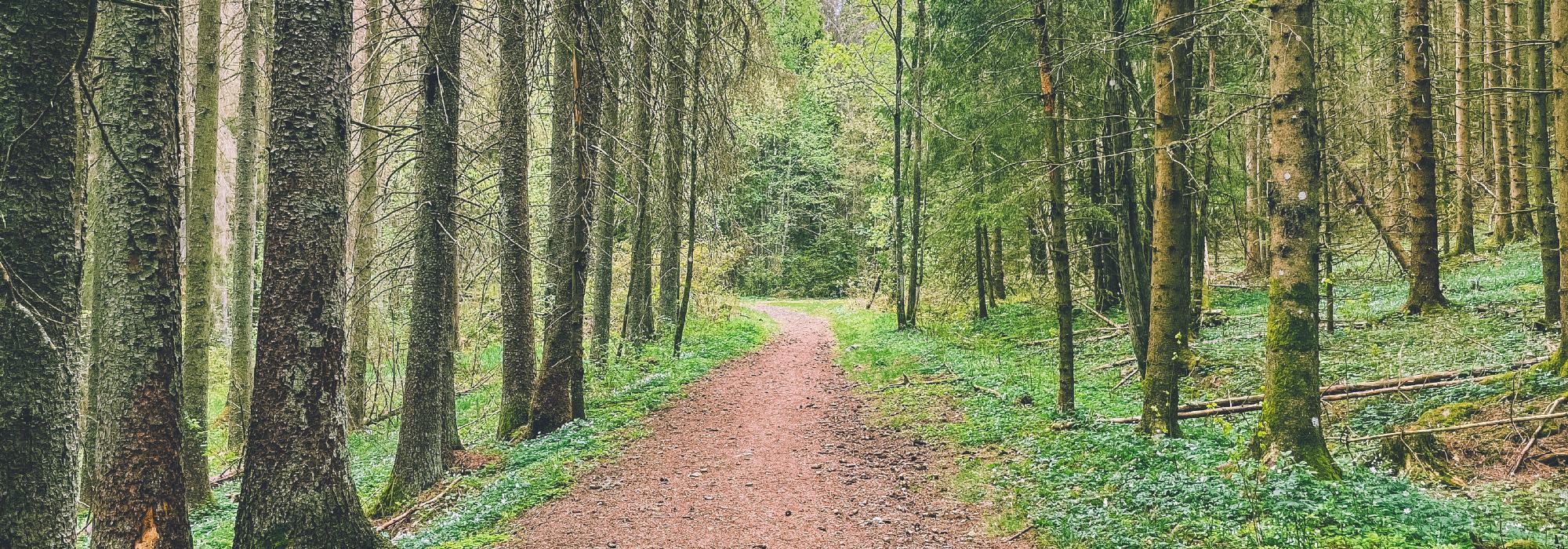 Tur i Langnesområdet