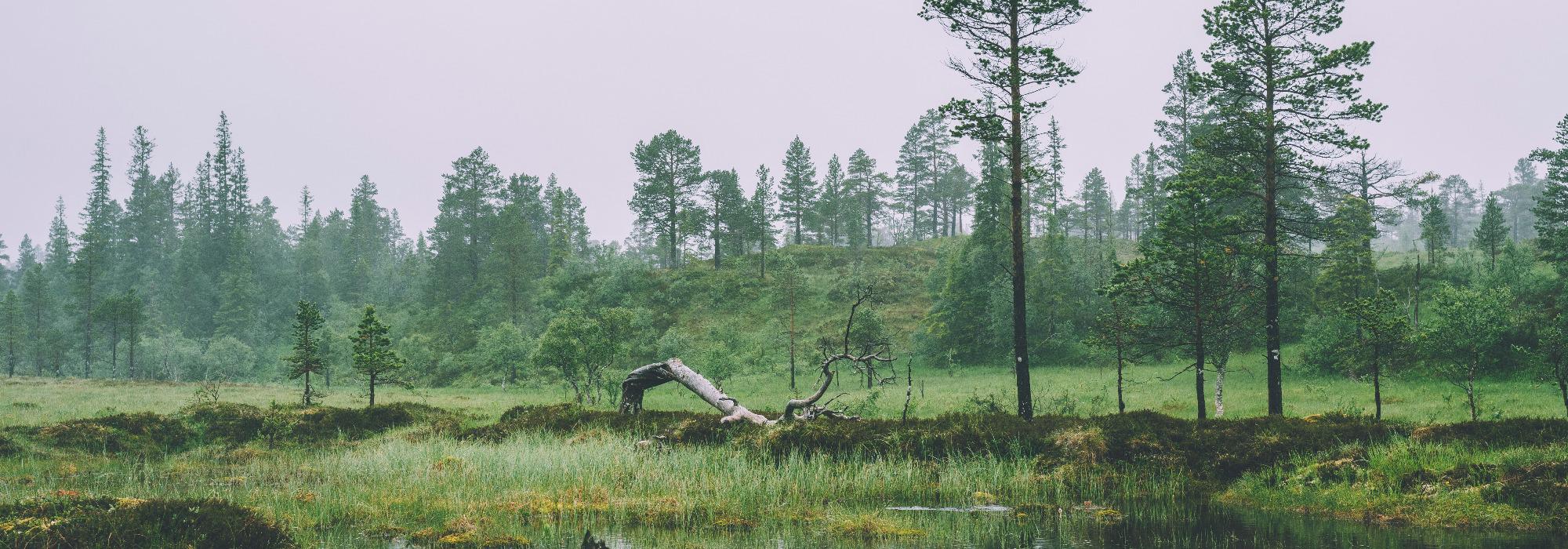 Mælen, Overhalla - I samarbeid med Namdal Seniorforum (Namdal turlag)