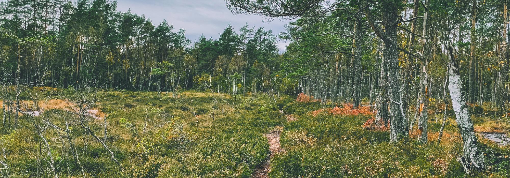 Aktiv i 100 Eidsberg, Rudsmosen