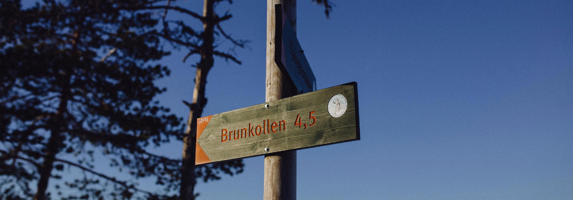 Langtur i Bærumsmarka