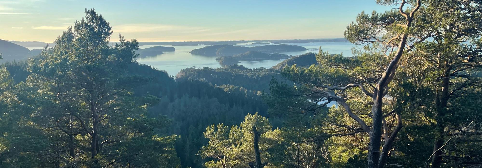 Tysdagstur: Drange - Fjærhovda, rundtur