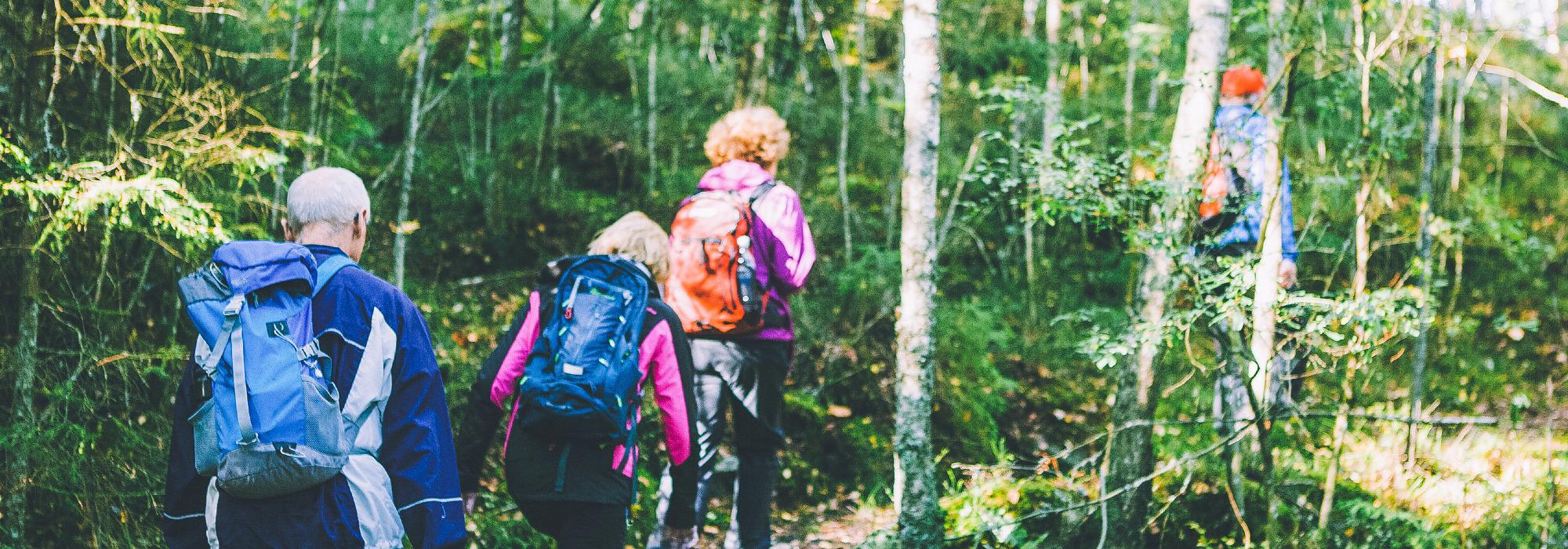 Glennetangen til Skjebinderhytta