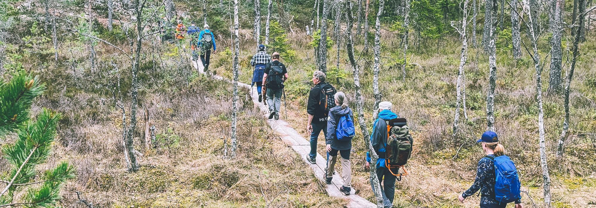 Fjella på langs fra Linnekleppen til Dynjan