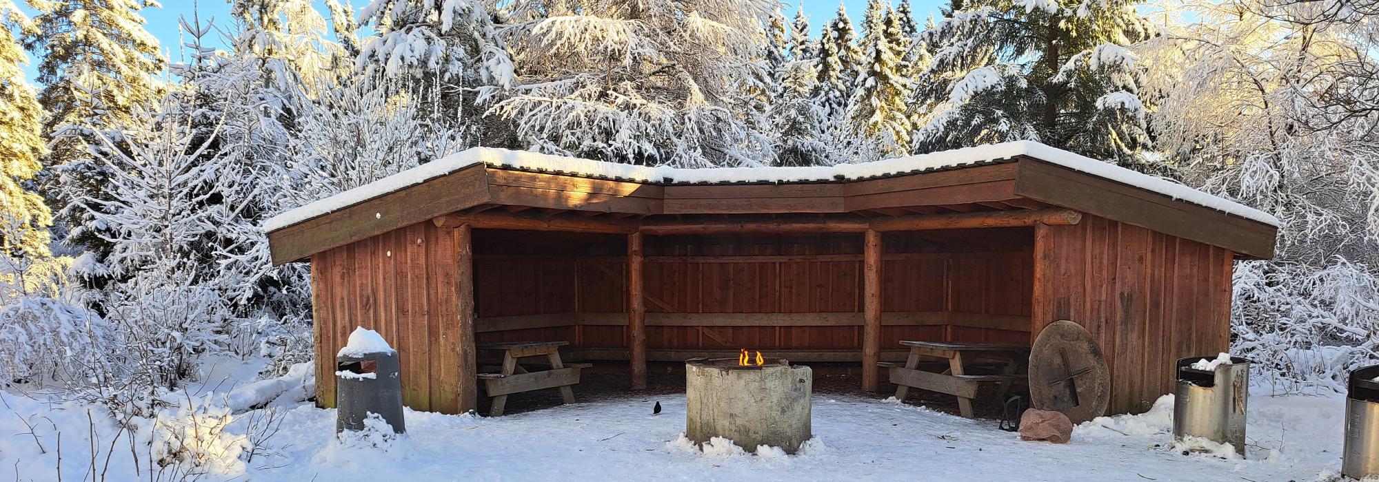 Juleavslutning med Seniorgruppa