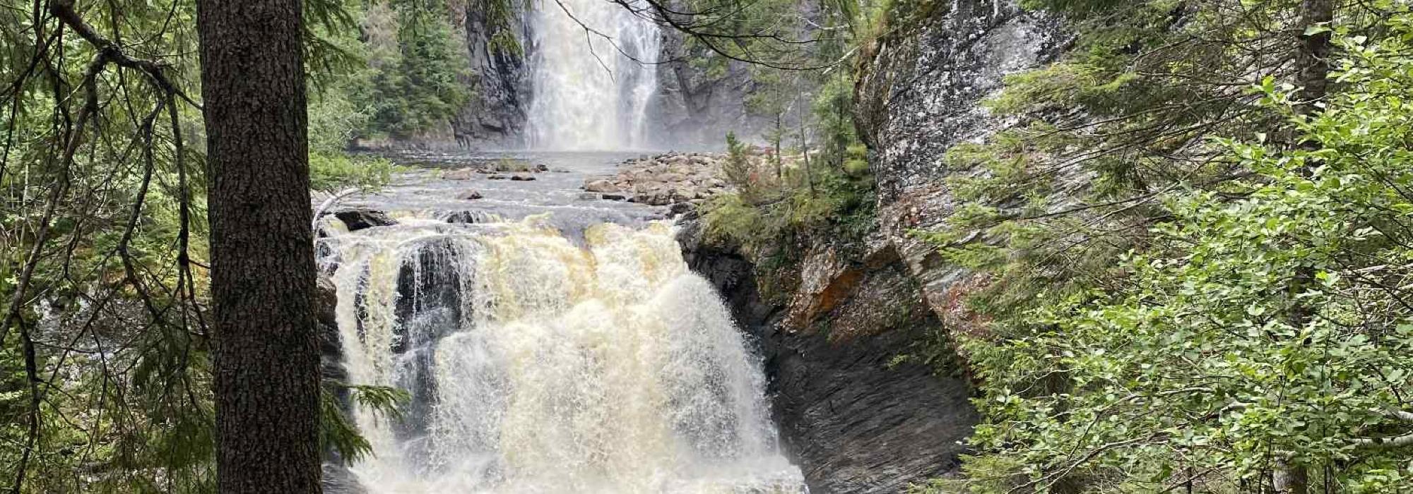 Heimdalshaugen 1159 moh, Grong (Namdal turlag)