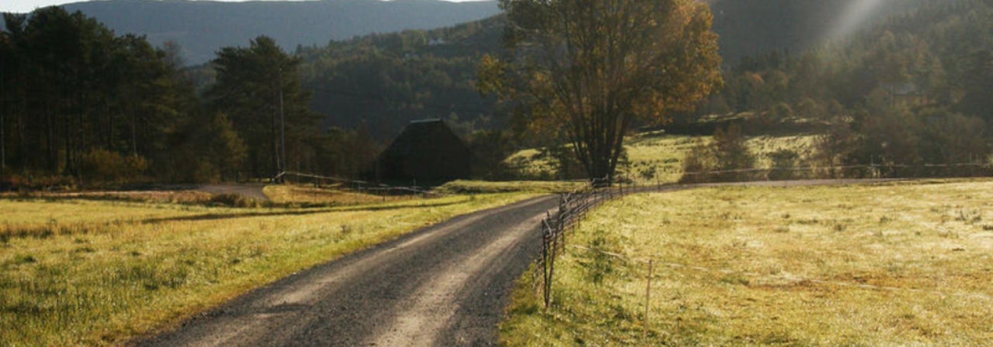 Torsdagstur dagtid Rusleturar eller Aktiv til 100