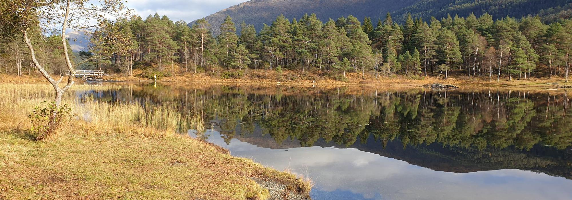 Torsdagstur dagtid Rusleturar eller Aktiv til 100   - (1)