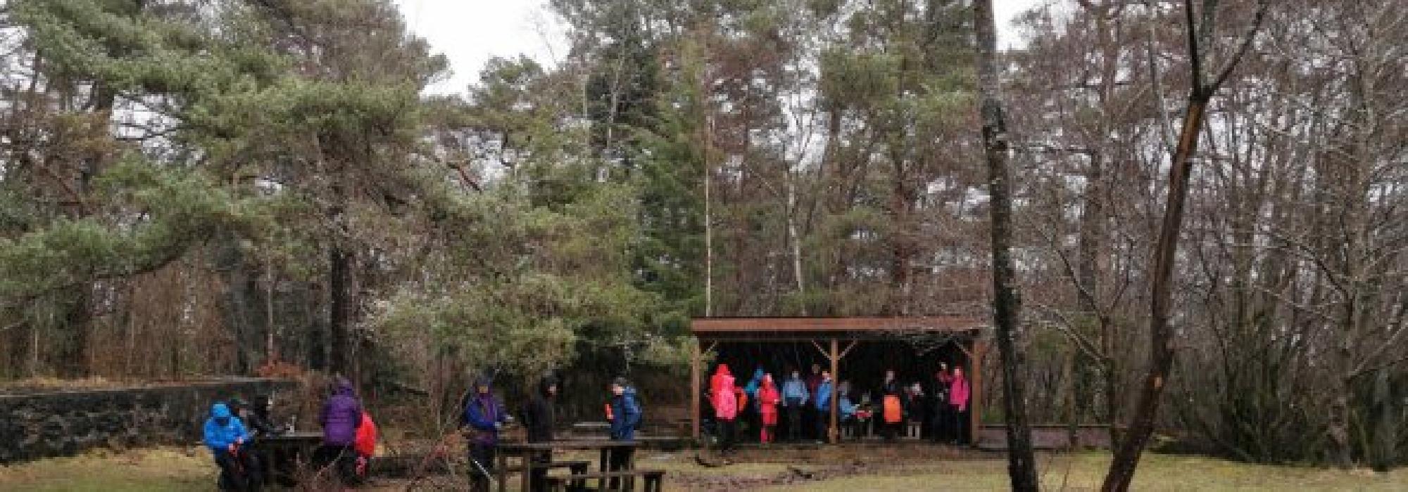 Torsdagstur dagtid Rusleturar eller Aktiv til 100   - (1)