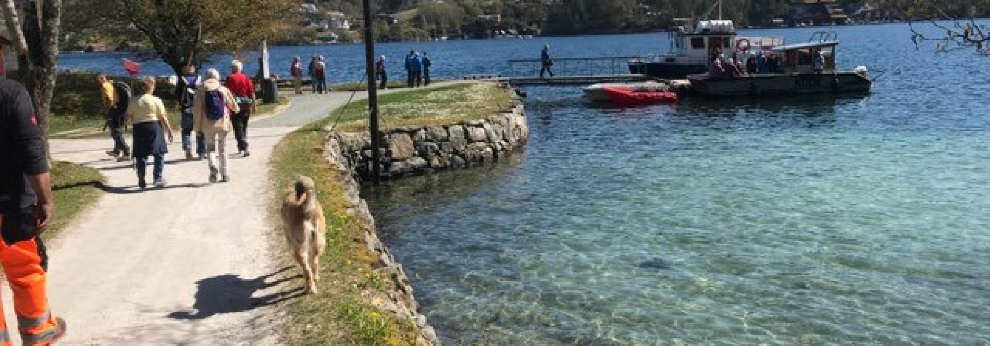 Torsdagstur dagtid Rusleturar eller Aktiv til 100