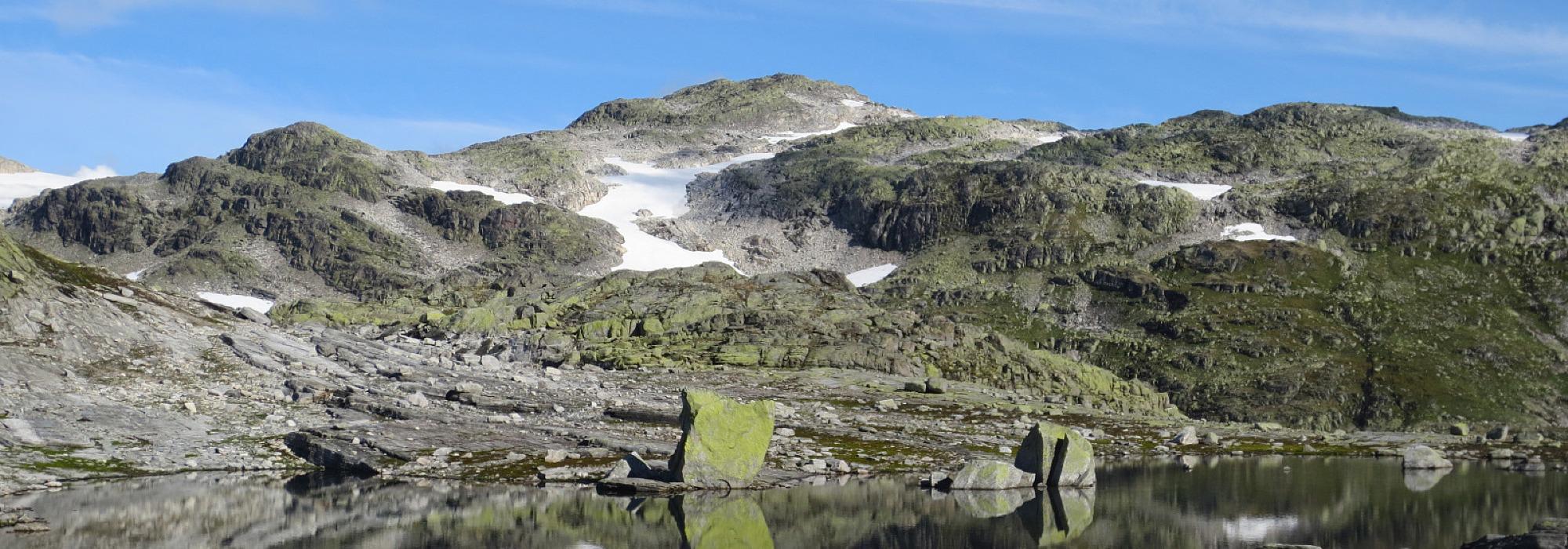 Reinsnosi, på randen av Hardangervidda
