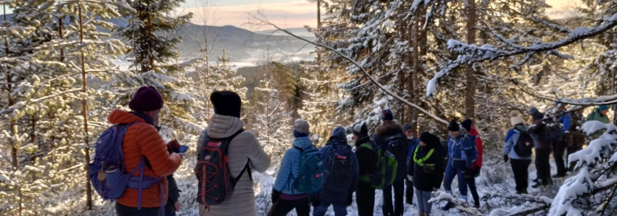 Vintertur til Strømskollen