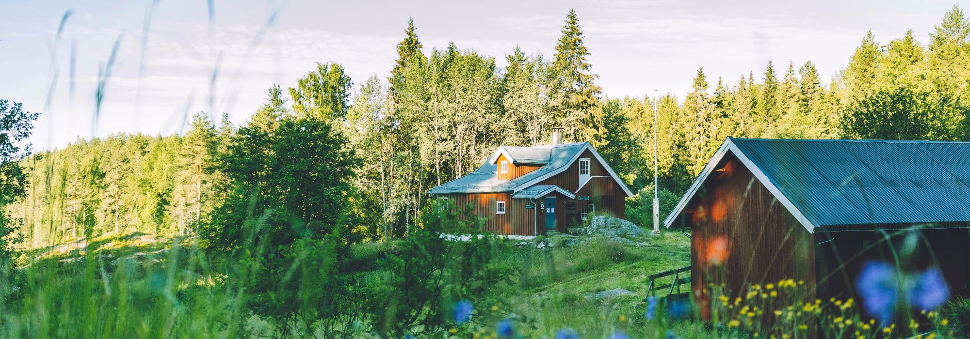 I flyktningenes fotspor - Østmarka