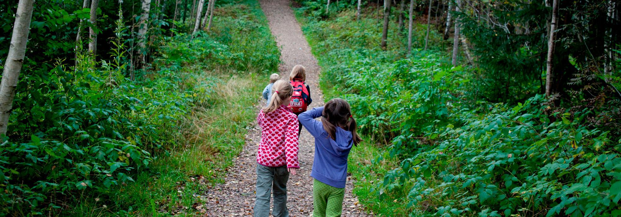 Barnas Turlag Svelvik - Skogstur med natursti