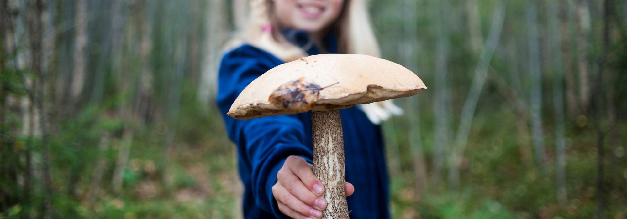 Besteforeldretur på Fløyen