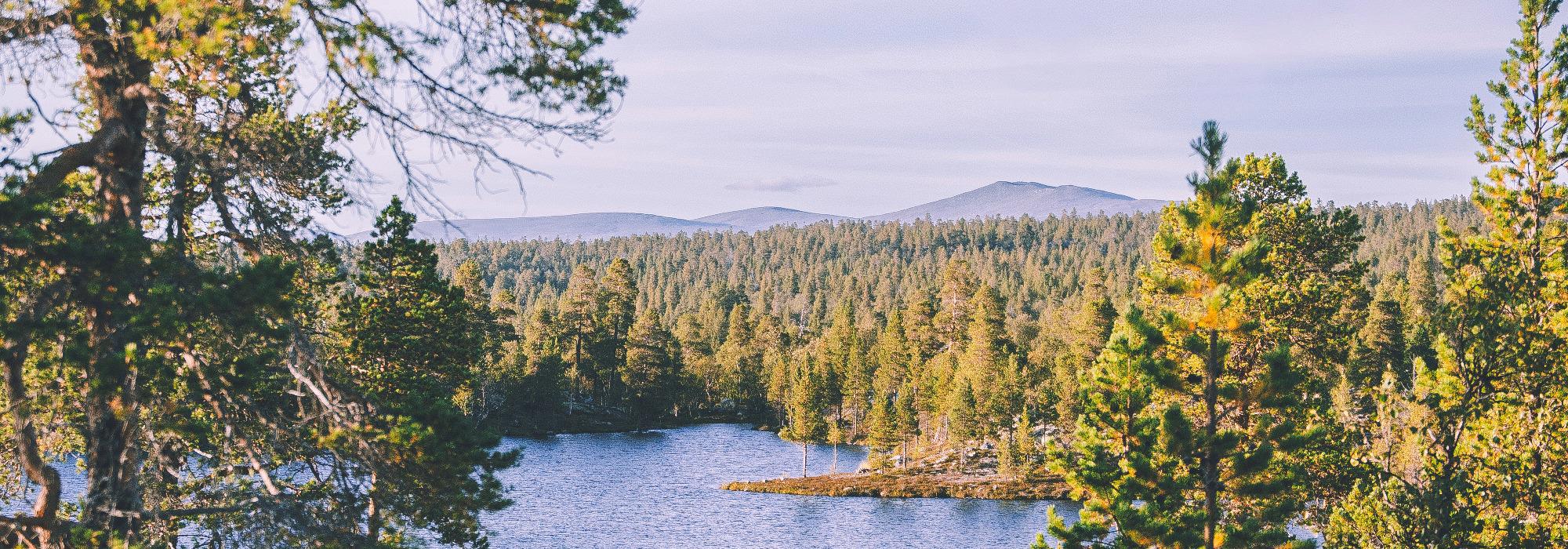 Tetlivattan, Overhalla (Namdal turlag)