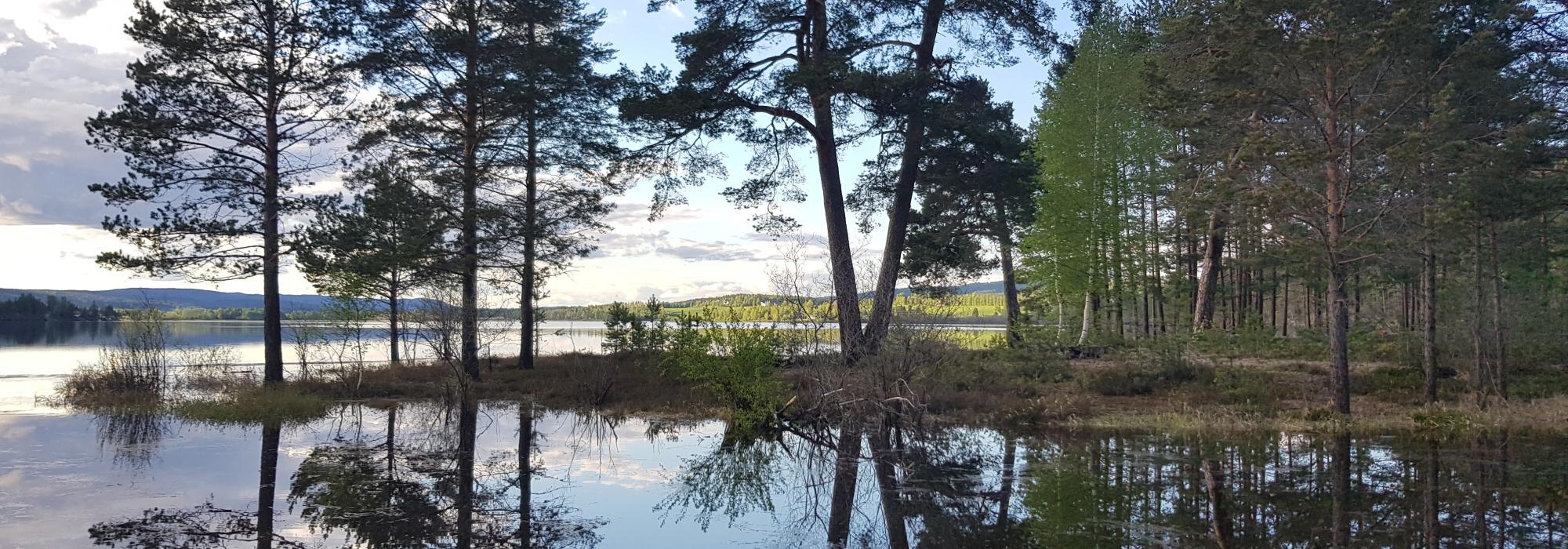 Spennende geologi- og historietur ved Vingersjøen