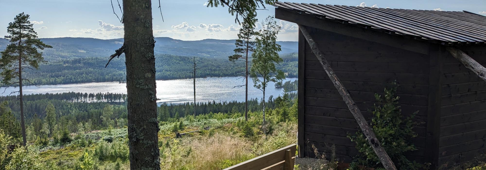 Nærtursti i Holtberget