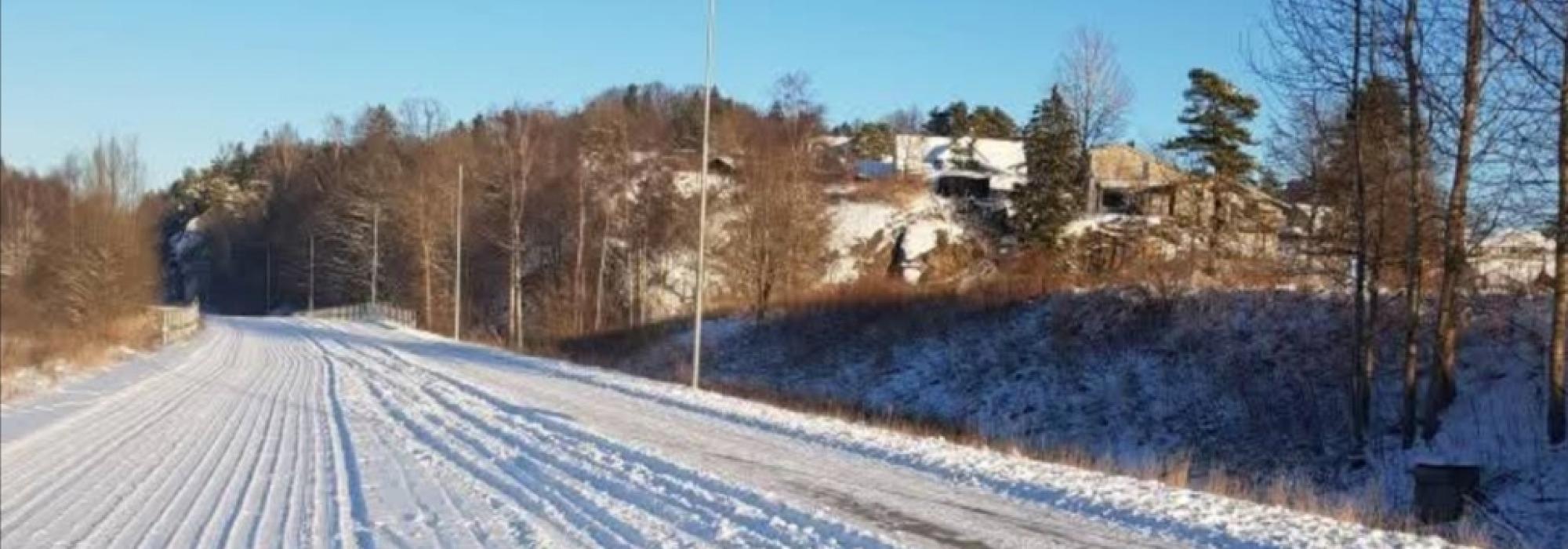 Seniorgruppa:  Tur i Bøkeskogen