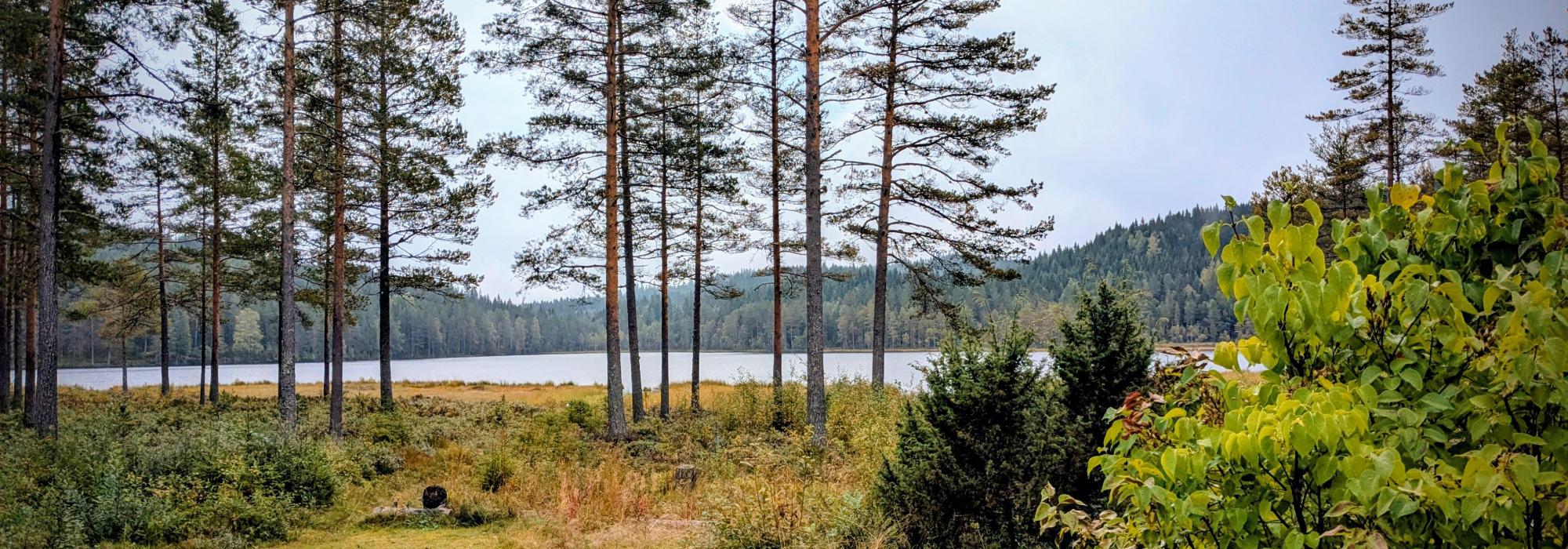 Kjerkeveg Orala - Lundersæter