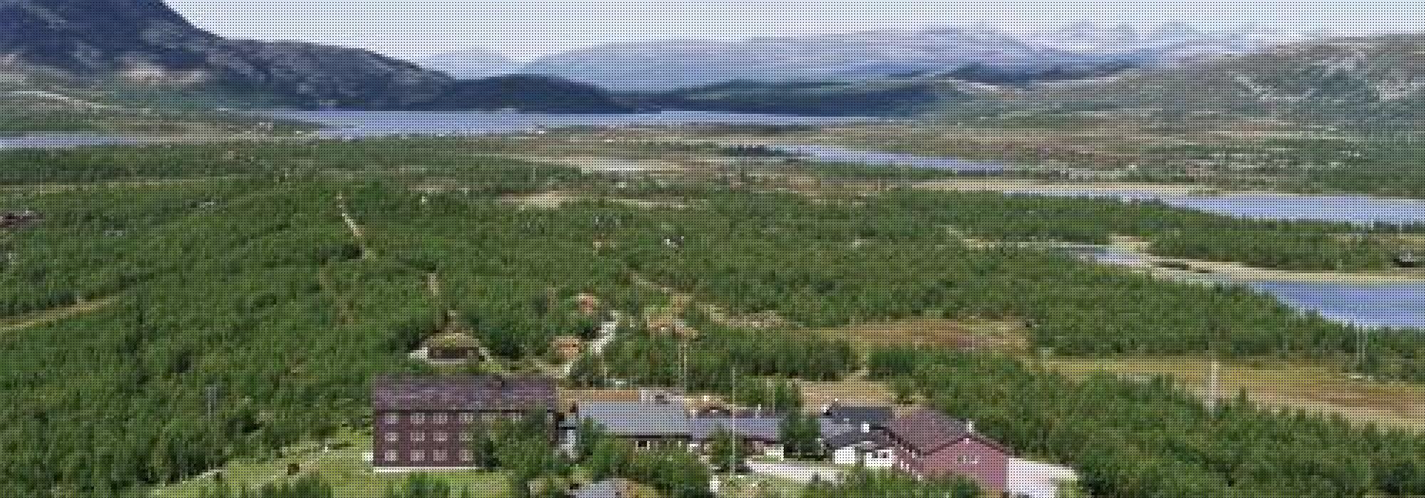 SENIOR: Høsttur til Venabu fjellhotell på Venabygdasfjellet