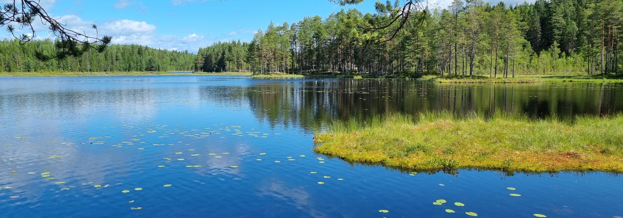 Nærtursti Bogeråsen