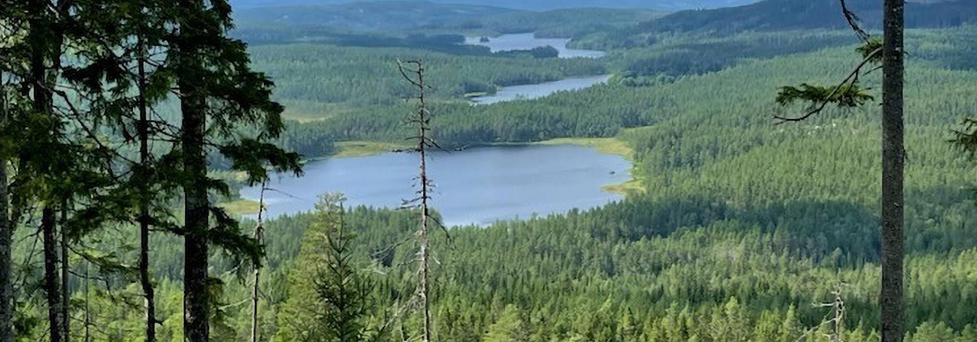 Utsiktstur Ursberget