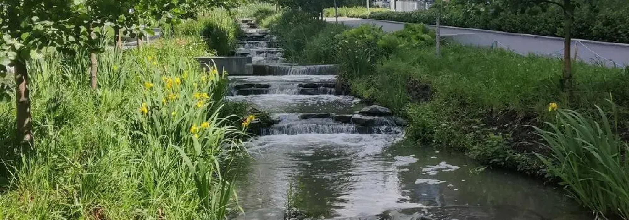 Hovinbekken - prisbelønnet bekk i by