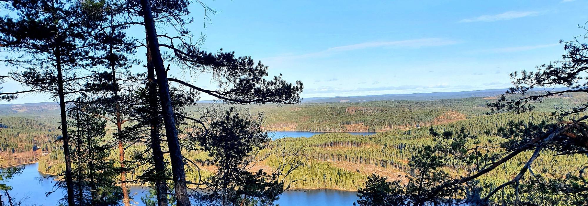 Nyfjelltrampen som vandringstur