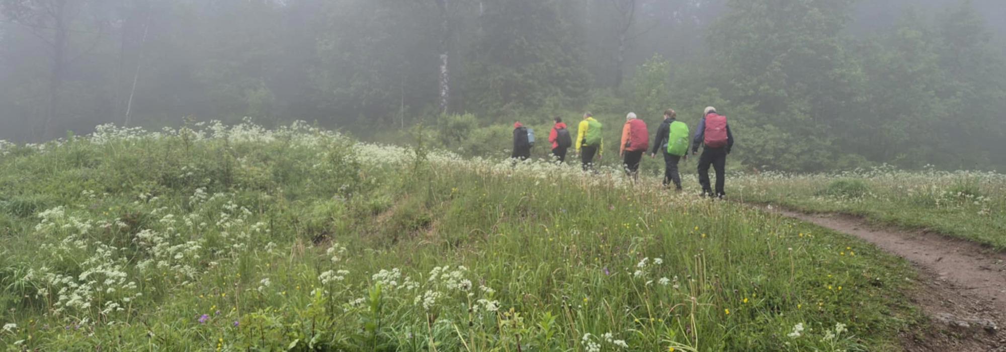 Søndagstur i Nordmarka