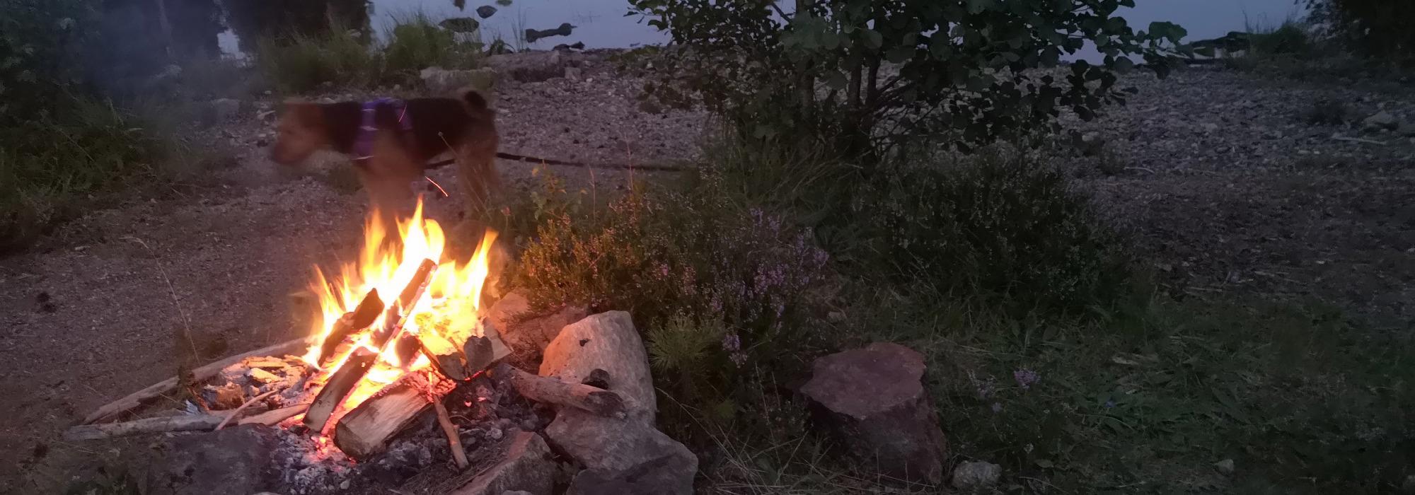 Gløggtur med bål og måneskinn i Strandpromenaden