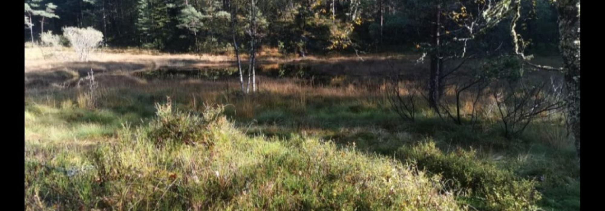 Torsdagstur dagtid Rusleturar eller Aktiv til 100